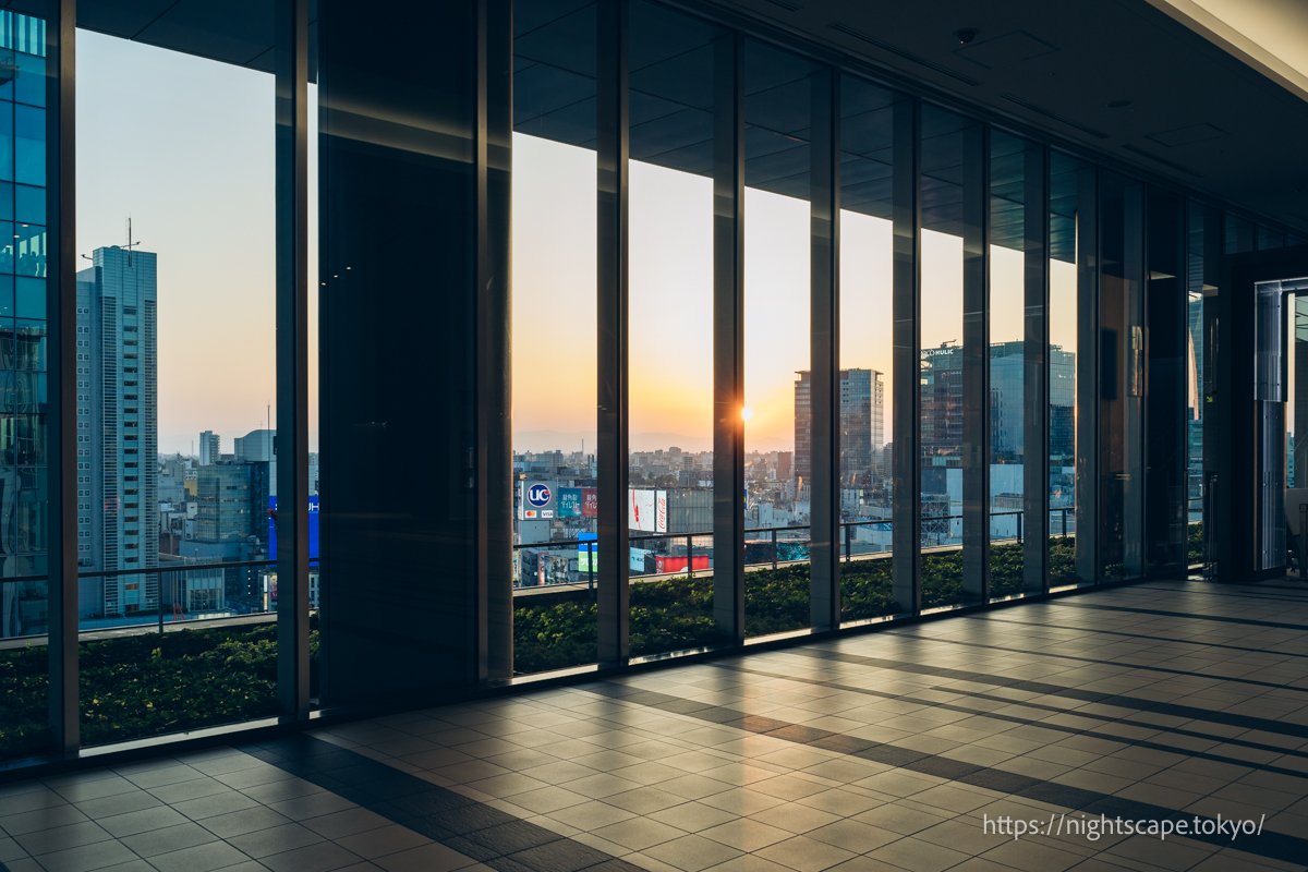 🎭 도큐 시어터 오브 이미지 6